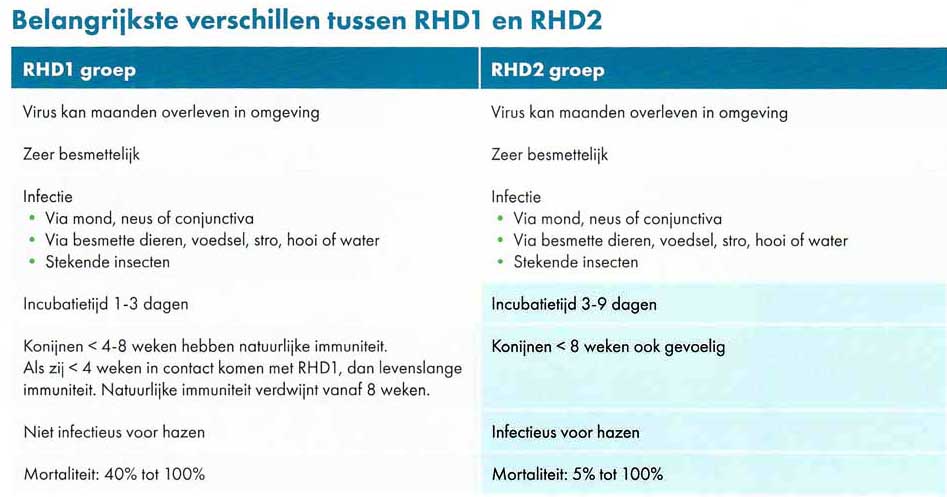 Verschile tussen RHD1 en RHD2 bij konijnen toegelicht in dit schema